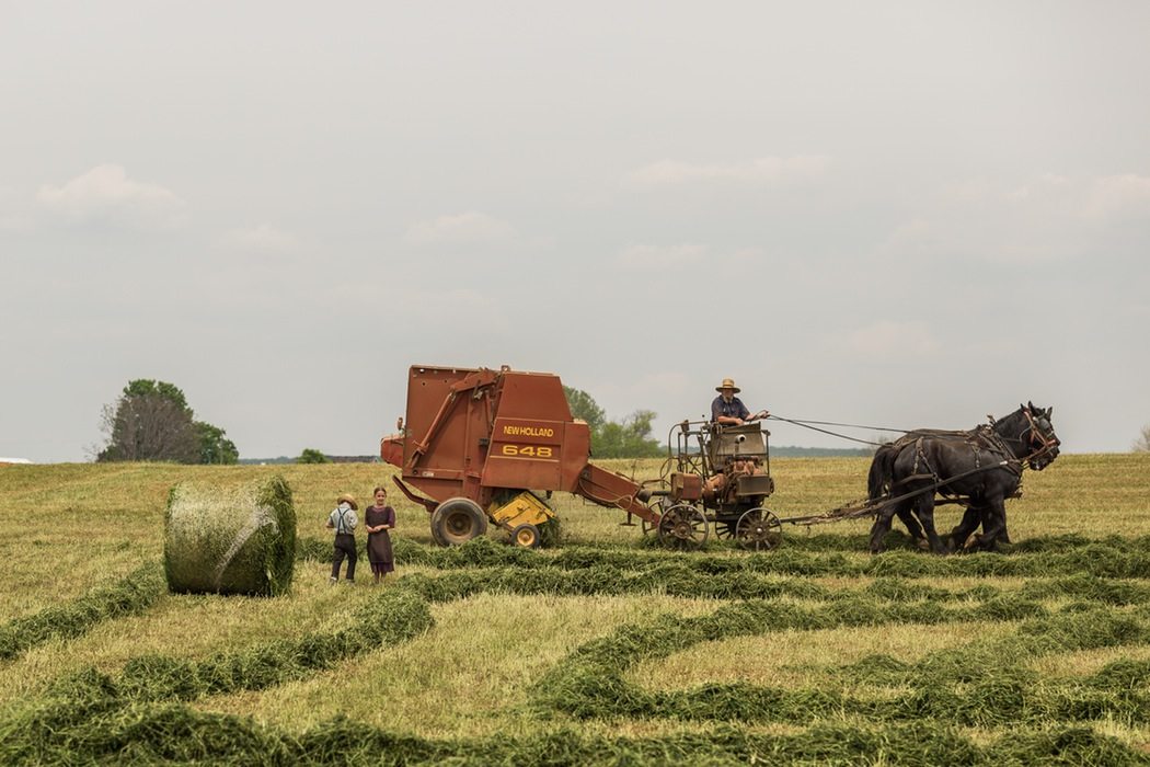 Farmers Farm Things